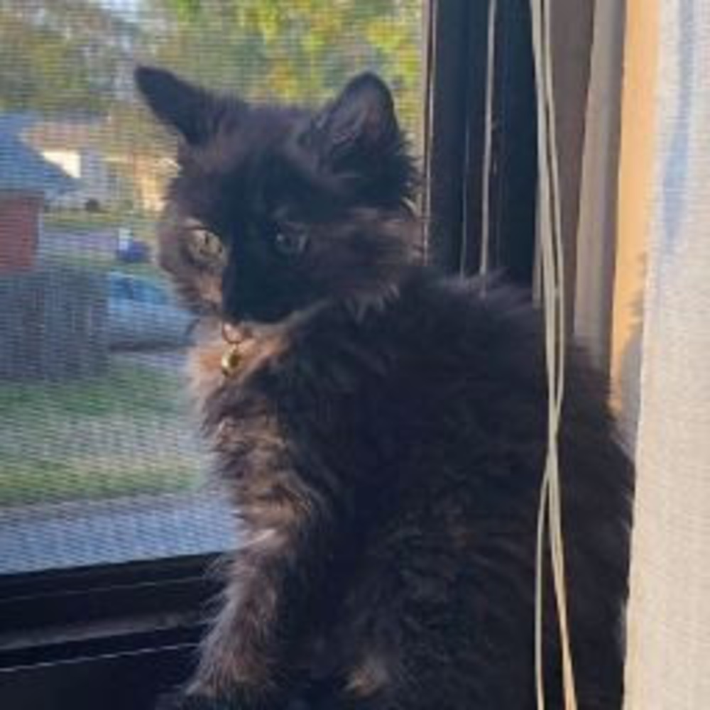 Meet your Posher, Kasey